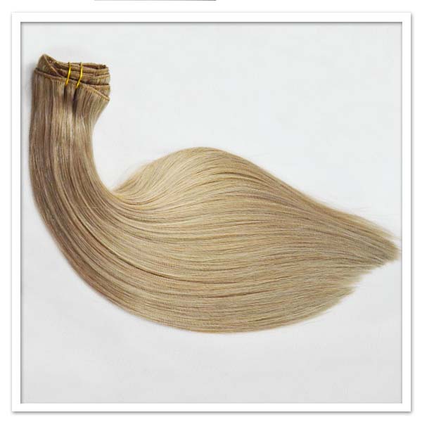 China Wholesale  Hair Extension LJ0138